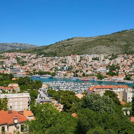 Hedera Estate, Hedera A42 * Dubrovnik